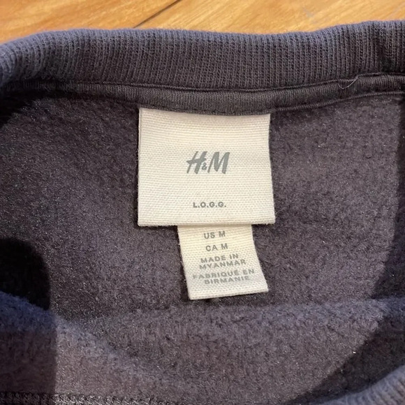 Z H&M gray embroidered front/large back graphic crew neck sweatshirt. Medium. - Picture 7 of 7